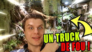 Avis terrariophile